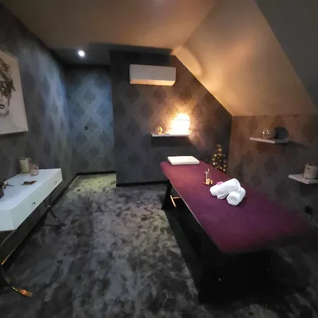 Apartment Avec Nage Privatif Et Espace Coquin - Le Secret De L'elixir Argentre-du-Plessis